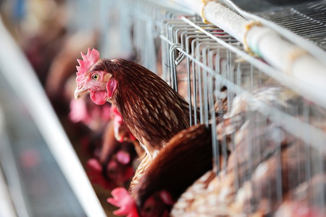 小叔子结婚买三金，婆婆让我一起去，没想到竟是为了给我也买一套