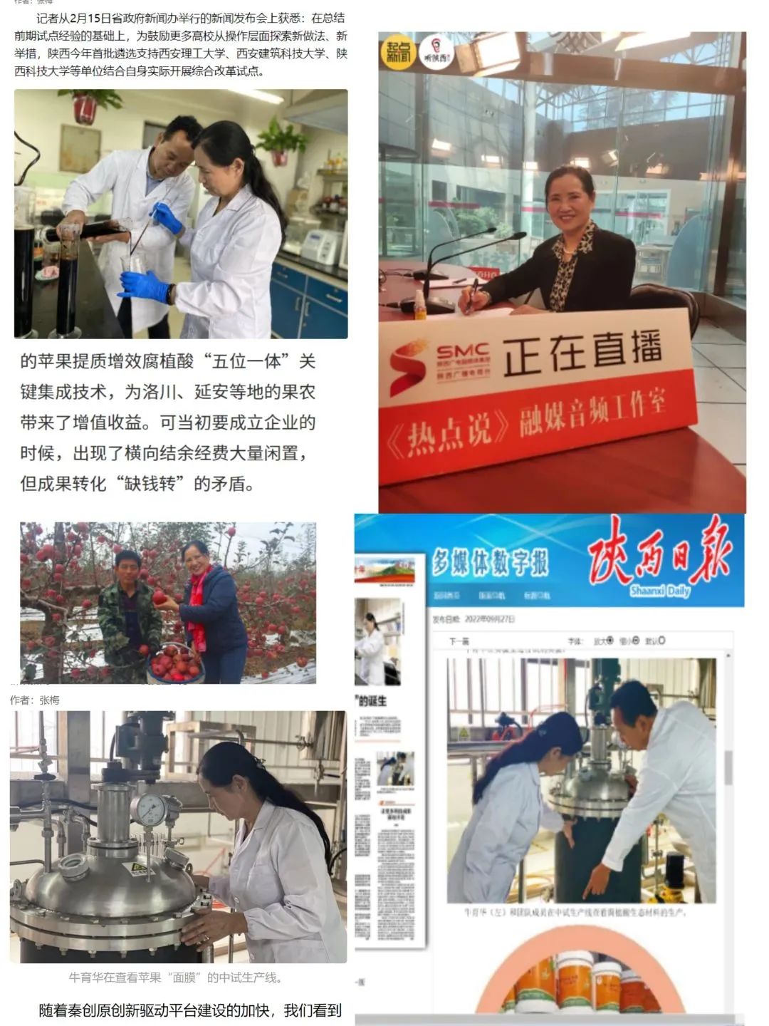 外媒记者点赞苹果“面膜”