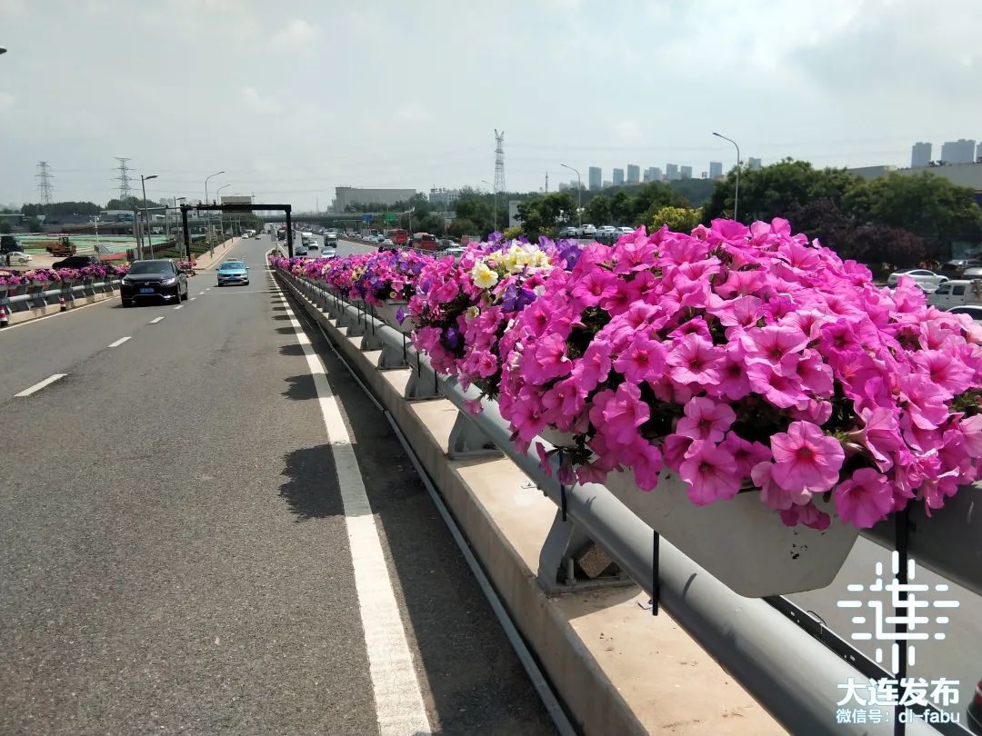 大连独一无二的花园,大连最新的花园