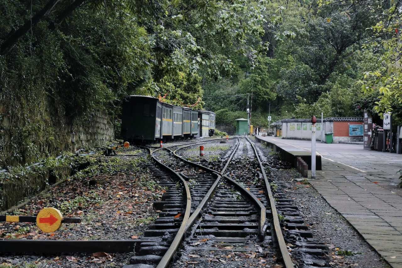 乐山异国风情打卡新去处,乐山游玩攻略及人文风情