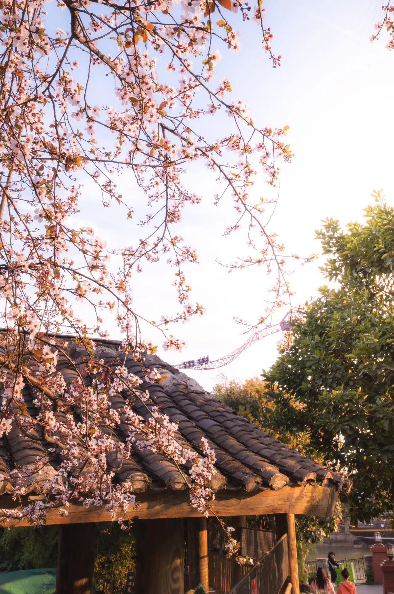 欢乐谷踏青赏春单人全日票,上海欢乐谷踏青活动