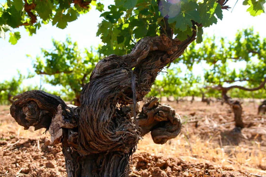 张裕黄金维度价格,7个维度看员工关系图