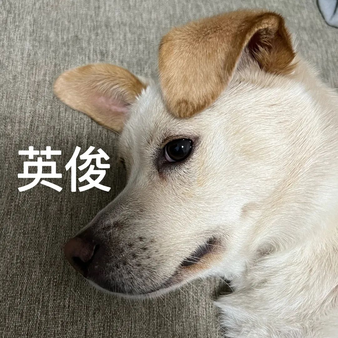 变黄码了怎么去做核酸,变成黄码该怎么办