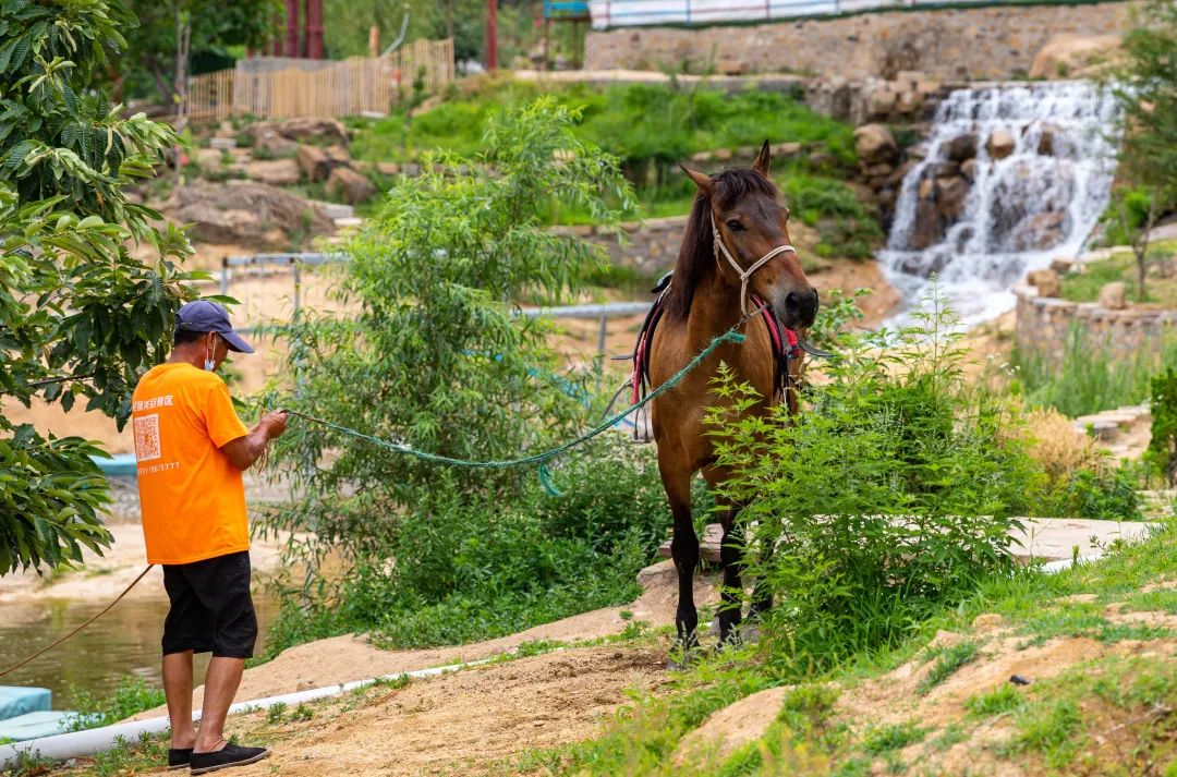 莱芜高庄旅游,莱芜高庄一日游玩攻略