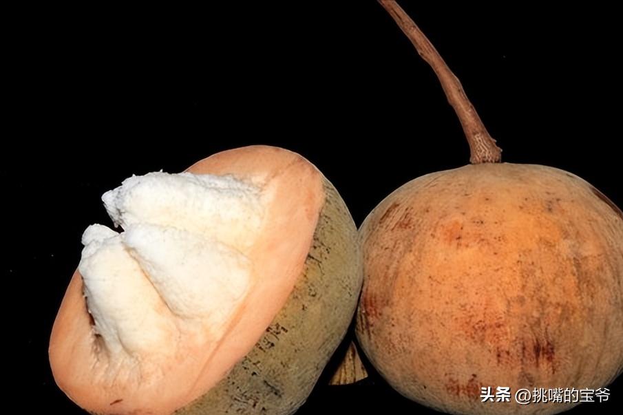 马来西亚特别推荐的水果,华人在马来西亚所占的比例