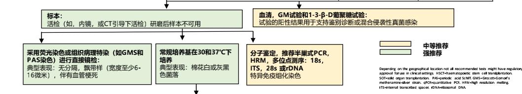 免疫缺陷病会并发什么病,什么是免疫缺陷肺部感染