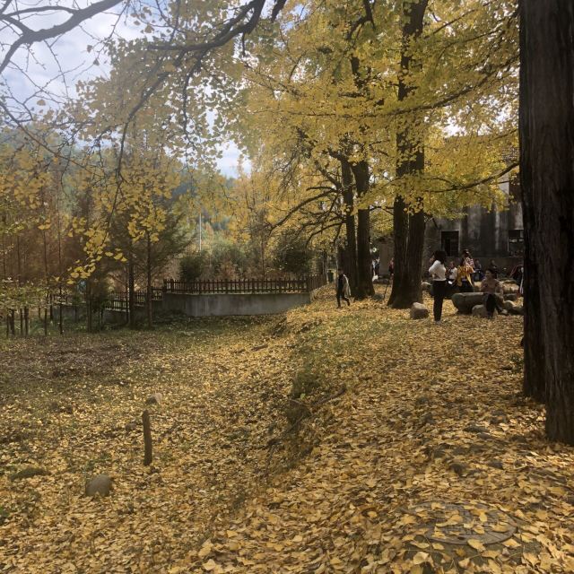 杭州周边赏秋好去处,杭州赏秋最佳攻略