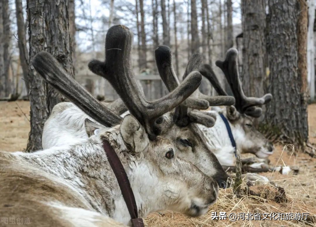 初秋秋色,9月最美风景
