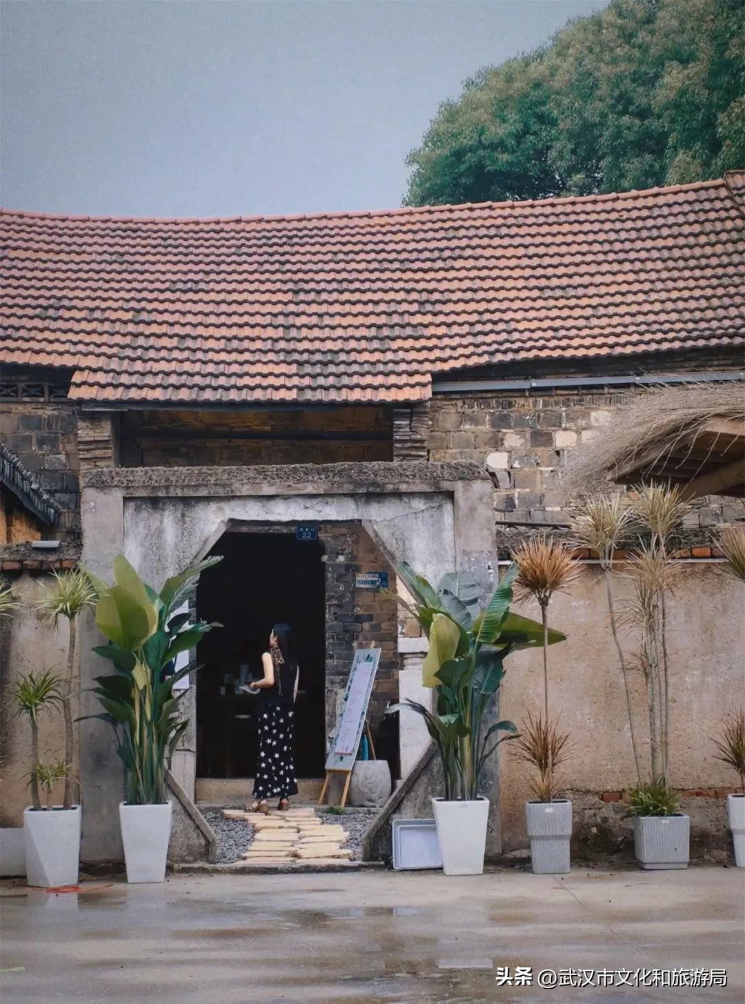 武汉夏天凉快的游玩地方,武汉凉快又免费的景点