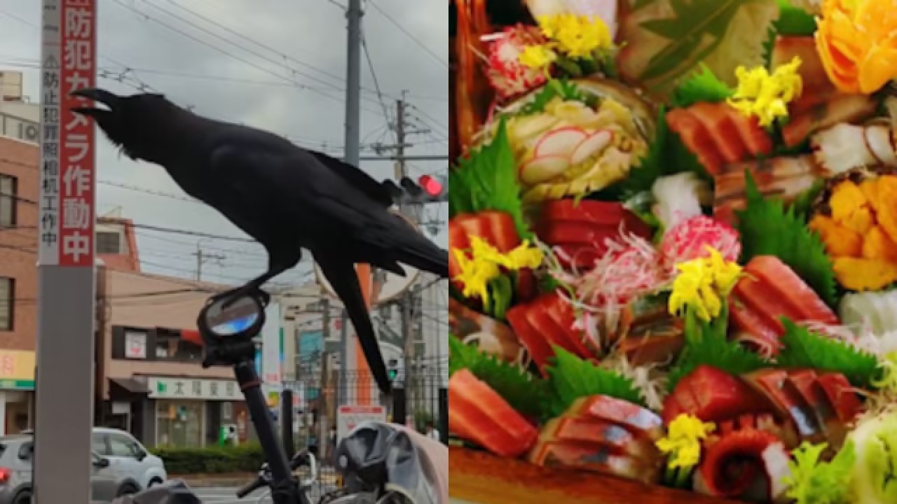 为什么日本人喜欢吃生鱼,为什么日本人吃生肉不会生病