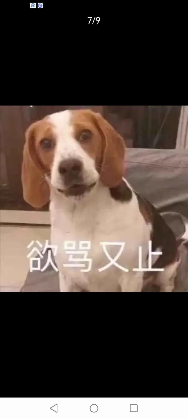 哪些高危行为不需要恐艾,哪些行为是高危