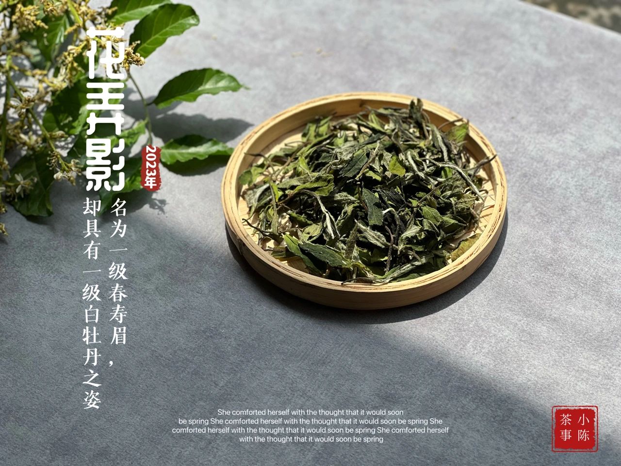 100克白茶400元,100元以内的白茶推荐