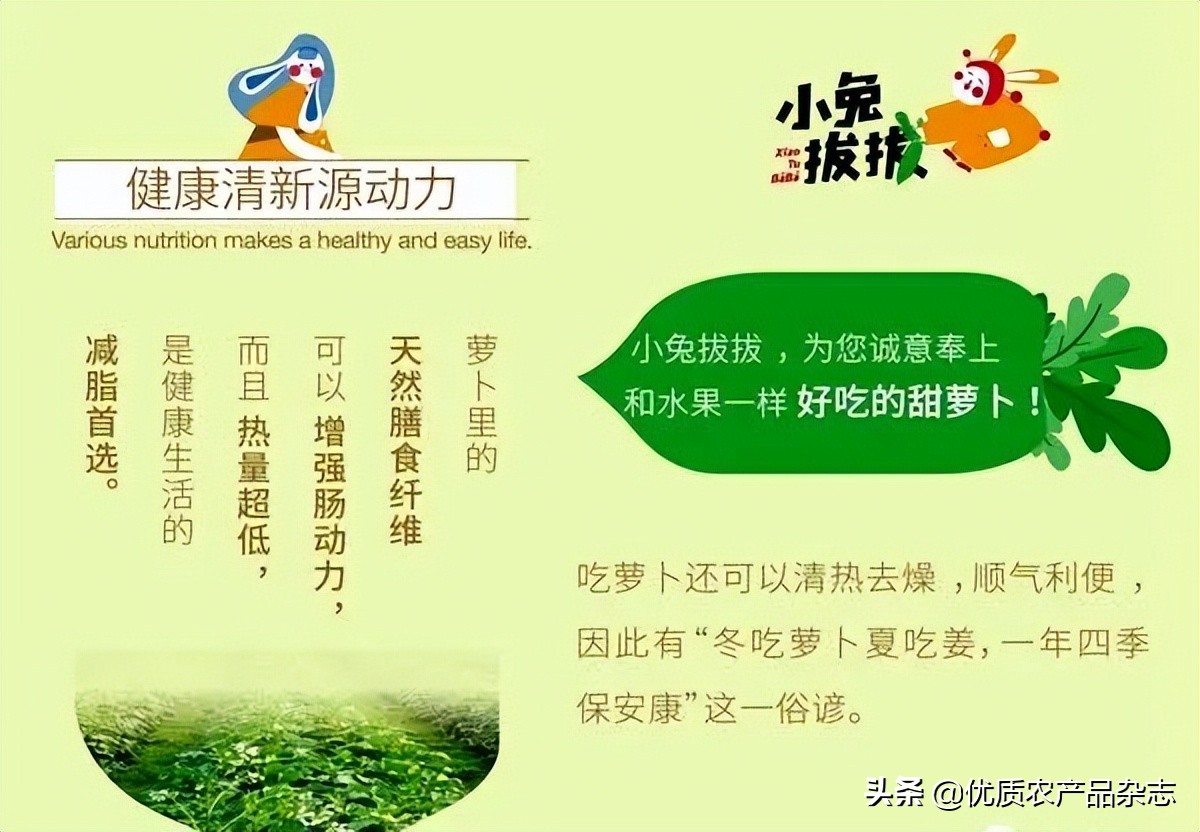 “卜”同凡响的田水铺萝卜