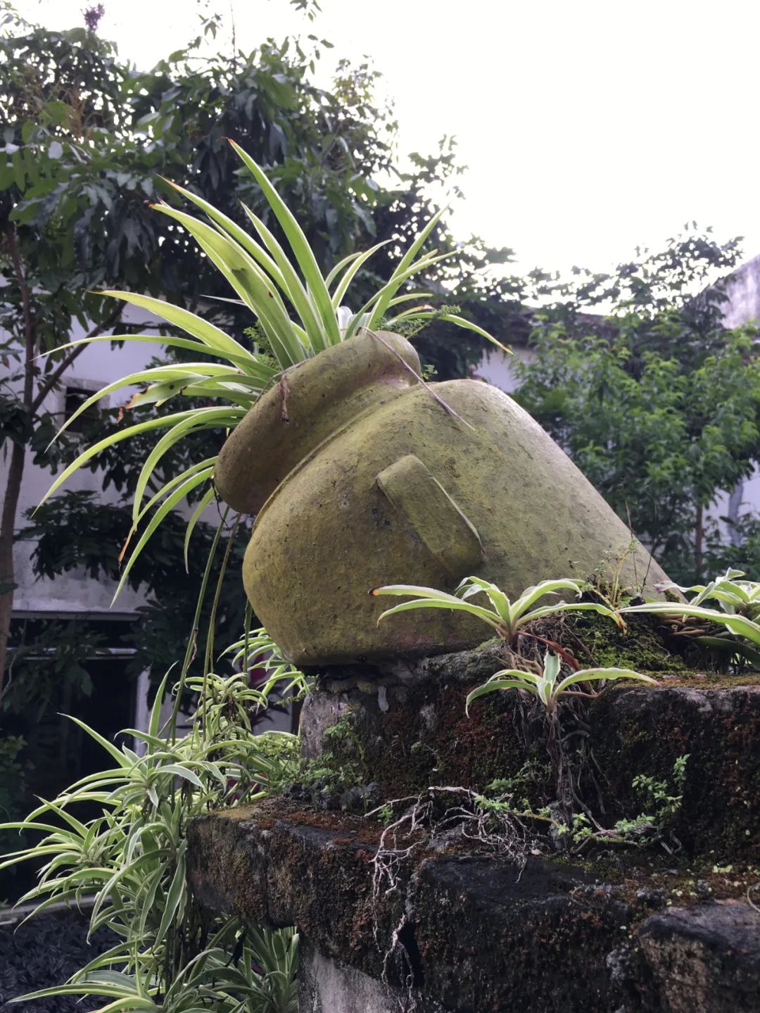 《旭光骑行深圳》第22站——龙华区观湖街道