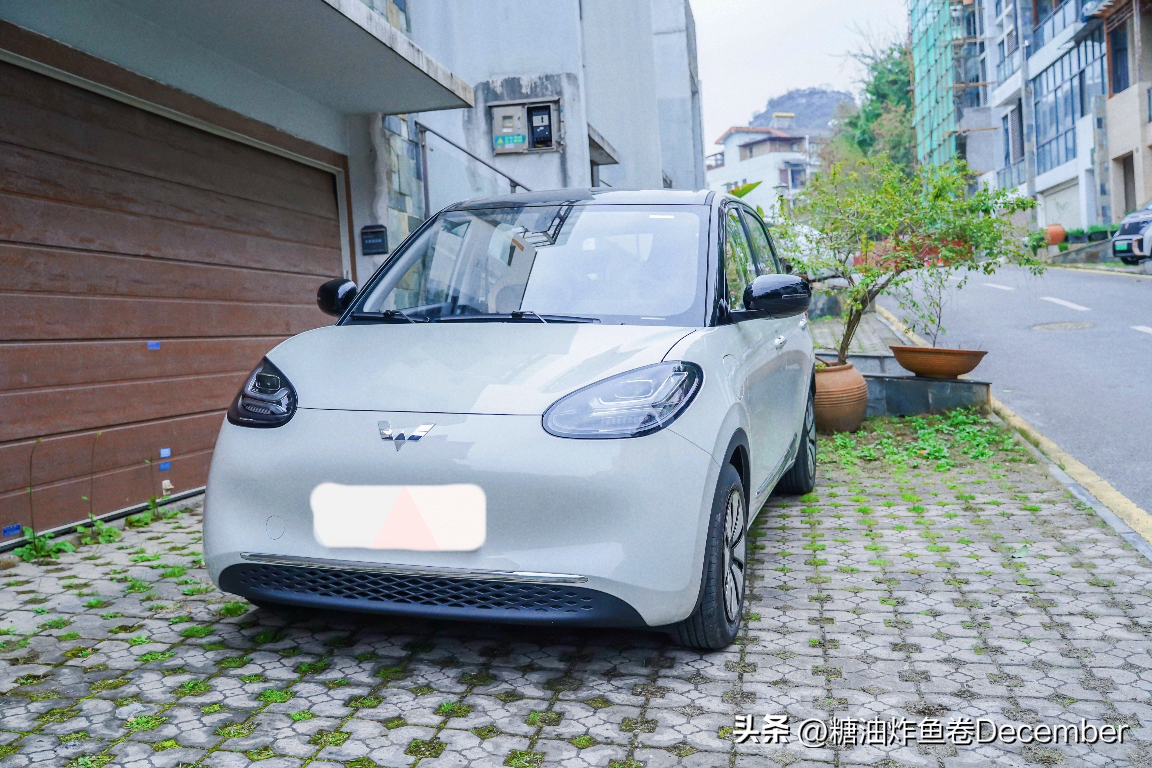 扶绥龙谷湾恐龙公园游玩攻略,扶绥龙谷湾恐龙公园在哪里