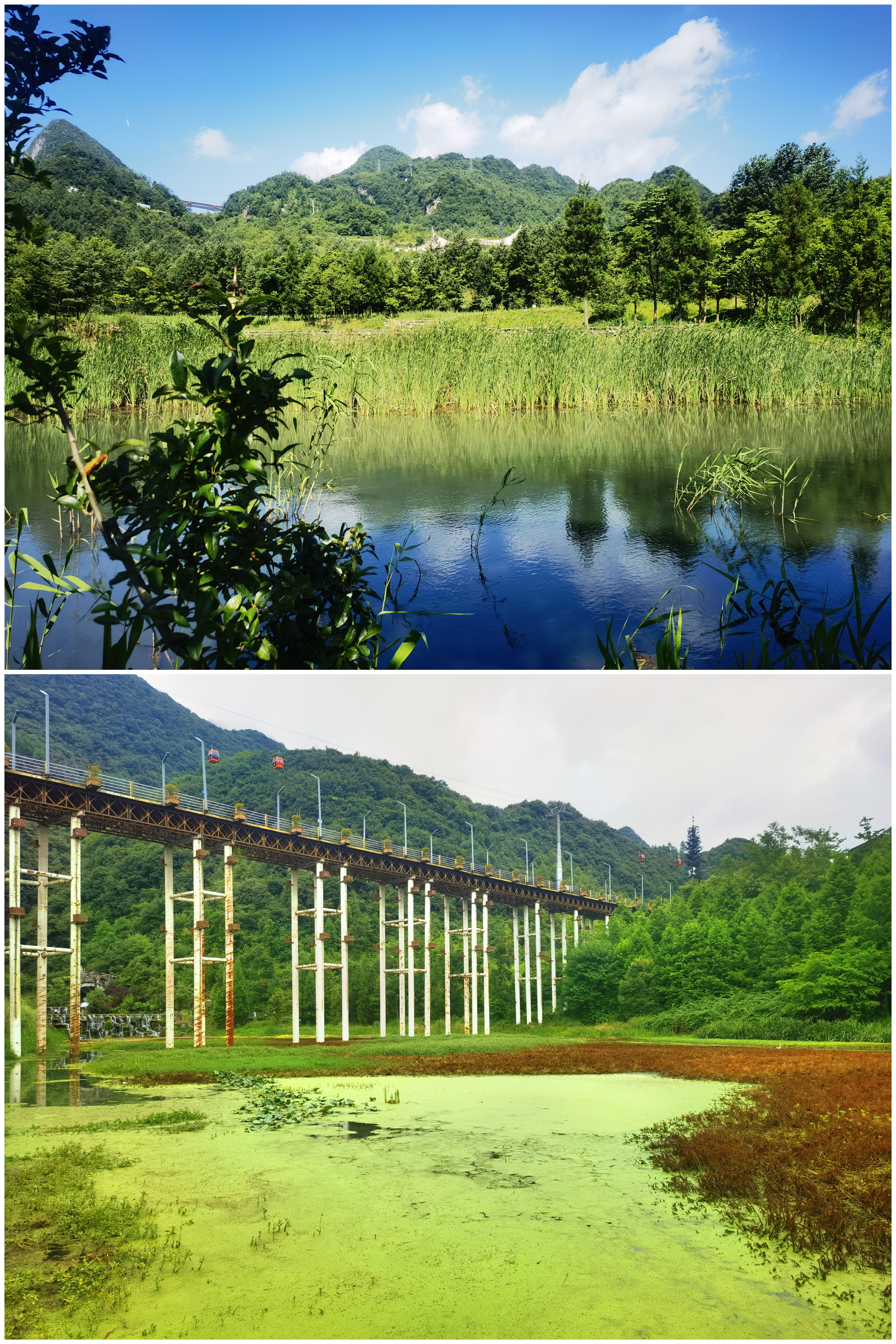 六盘水19度夏天,19度的夏天六盘水