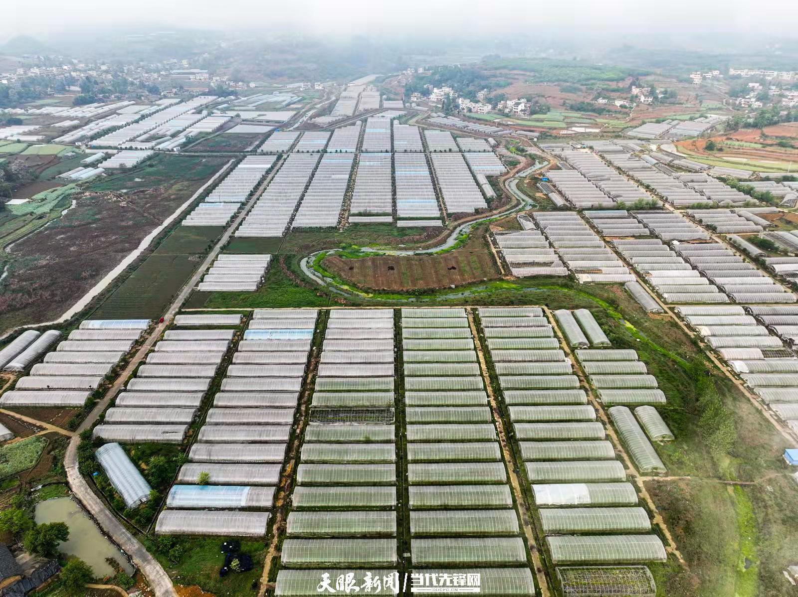 黔西两会林松,黔西林松书记