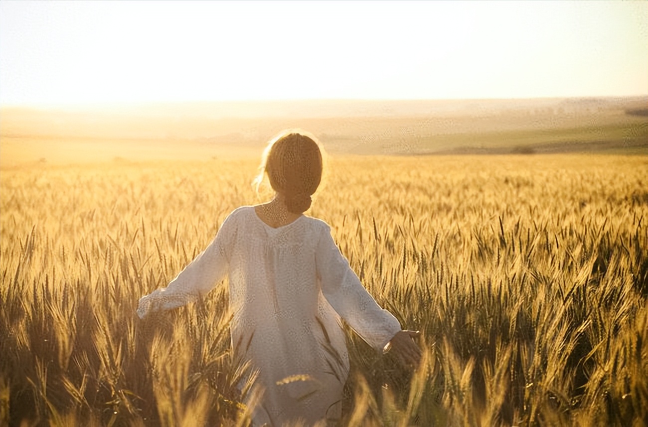 非暴力沟通的精髓有哪些,非暴力沟通四个要素微课