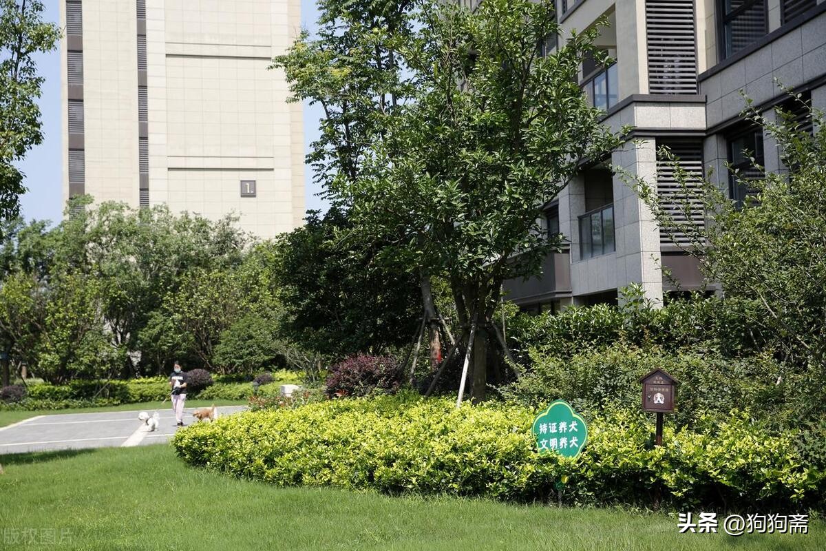 从底层开始小说,底层生活小说全集