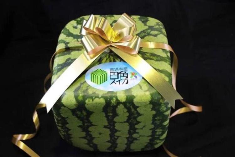 日本进口蜜瓜138元一瓣最新消息,日本蜜瓜水果价格