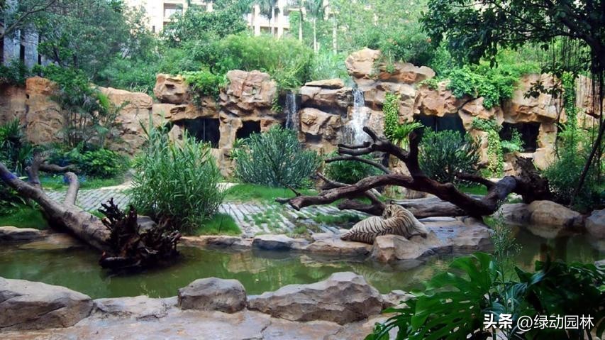 取之自然回归大自然,去长隆野生动物园玩住哪个酒店好