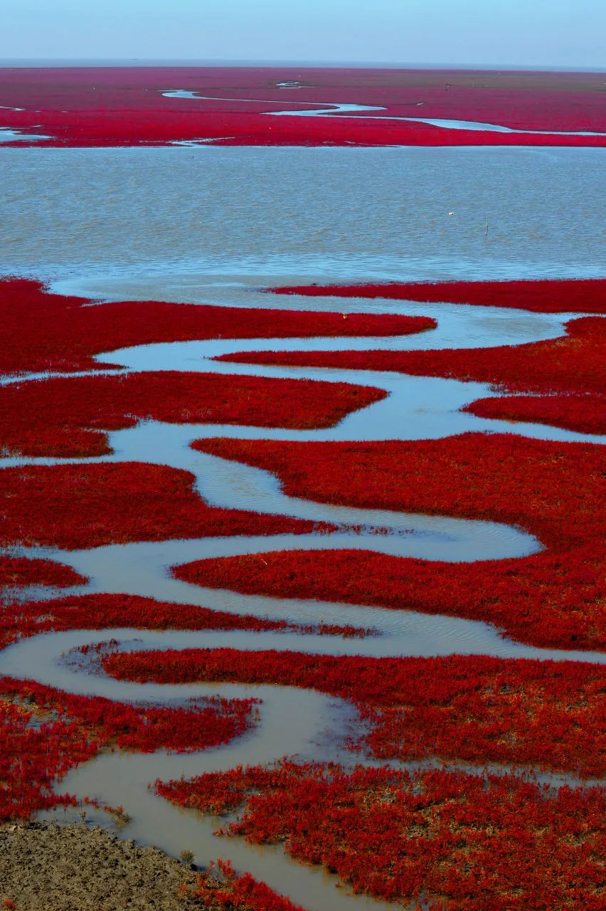 东北偏僻山村真实生活,东北冷不冷的真实生活