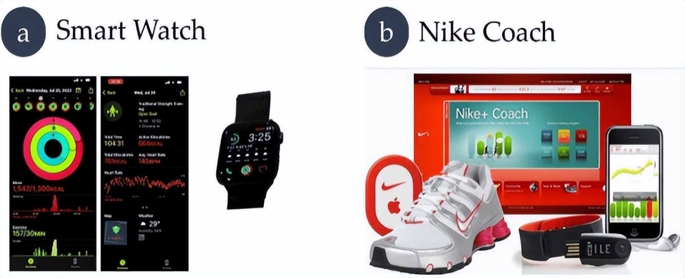 元宇宙与教育的融合,体育教育的种类