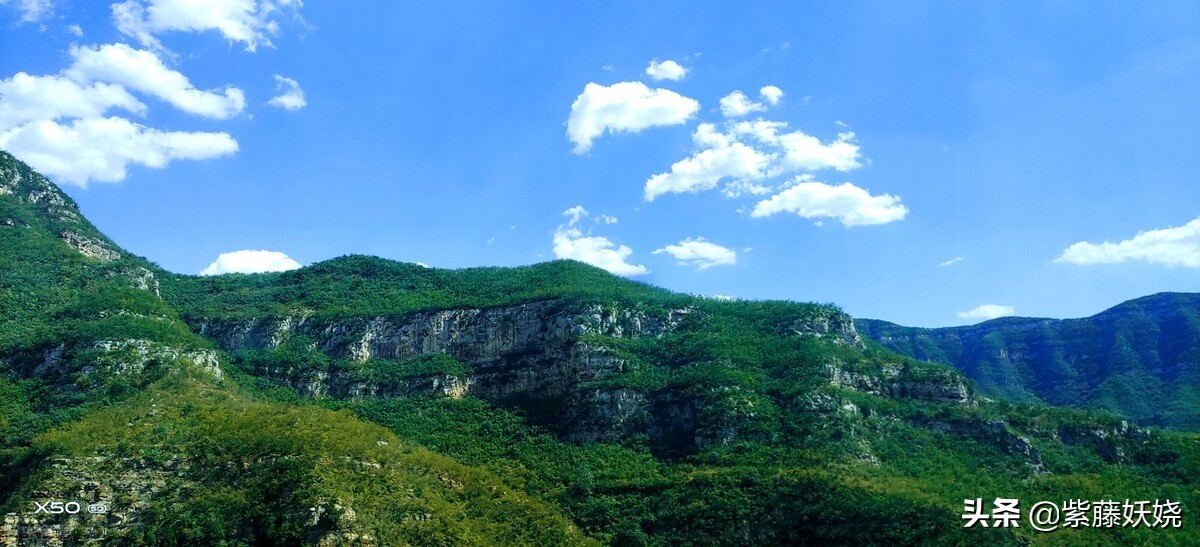 吃饭吃到苍蝇怎么赔偿,在饭店吃饭吃到苍蝇怎么解决