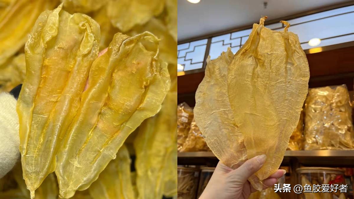 北海胶和大口胶怎么选择,北海公胶和墨西哥胶哪种好