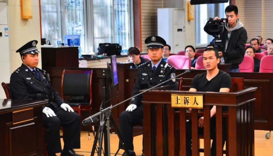 张扣扣被执行死刑后怎么反思,张扣扣被执行死刑真相