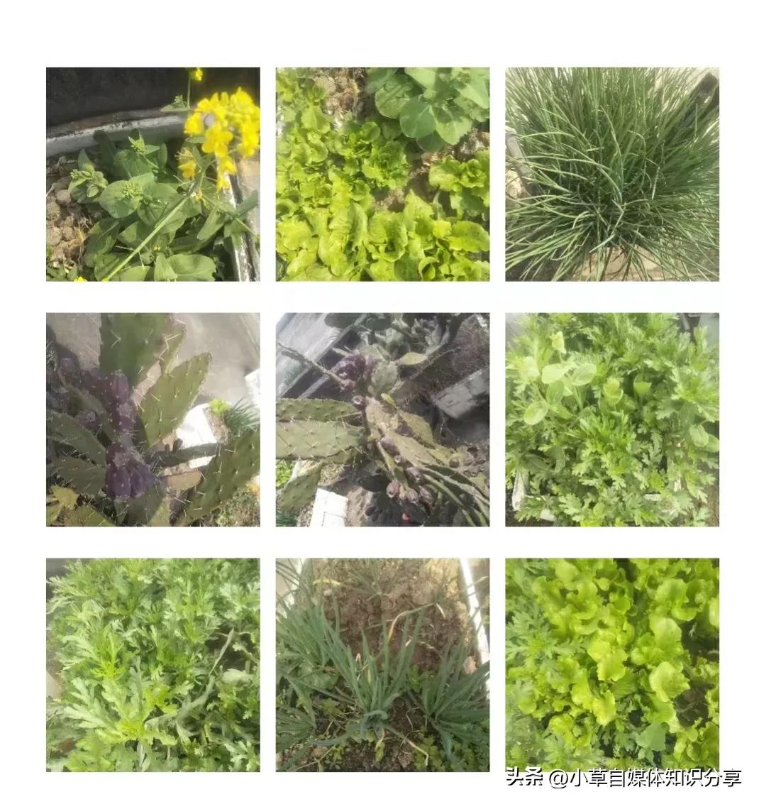 微信怎么把收藏隐藏或者设置密码,微信收藏里面的东西怎样才能隐藏