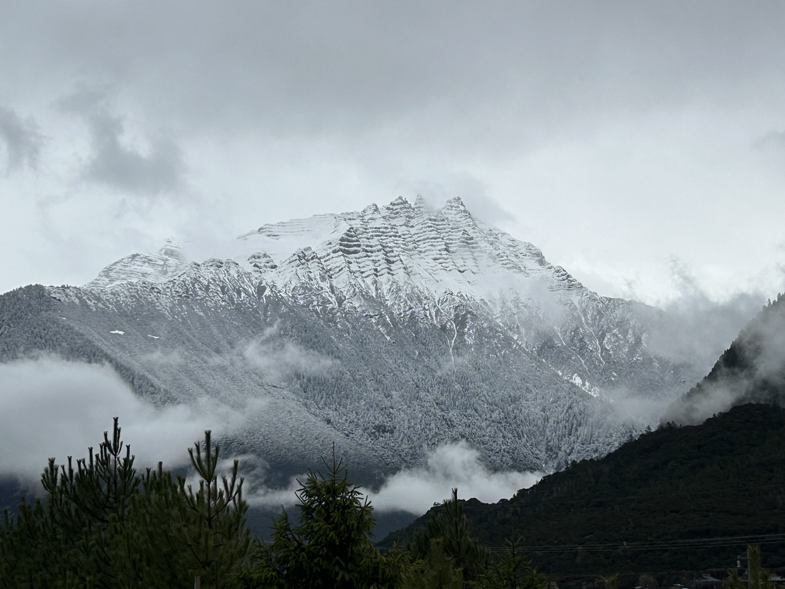 雪域林芝桃花图片 (在雪域江南西藏林芝邂逅漫山桃花)