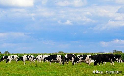 有机农业定义及现状,国内有机农业如何发展