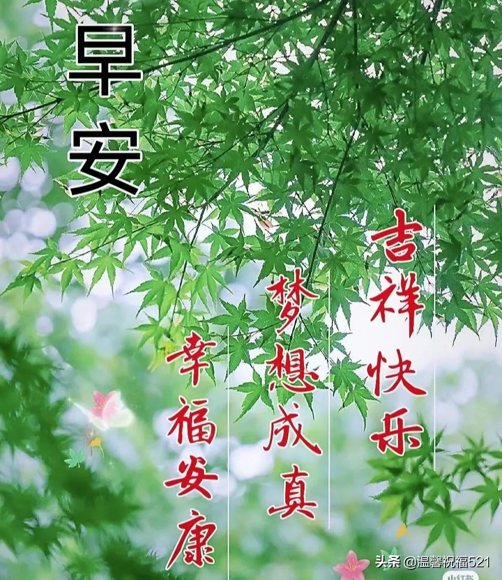 5月29日唯有健康，才有一切。愿我们都开心快乐、健康平安