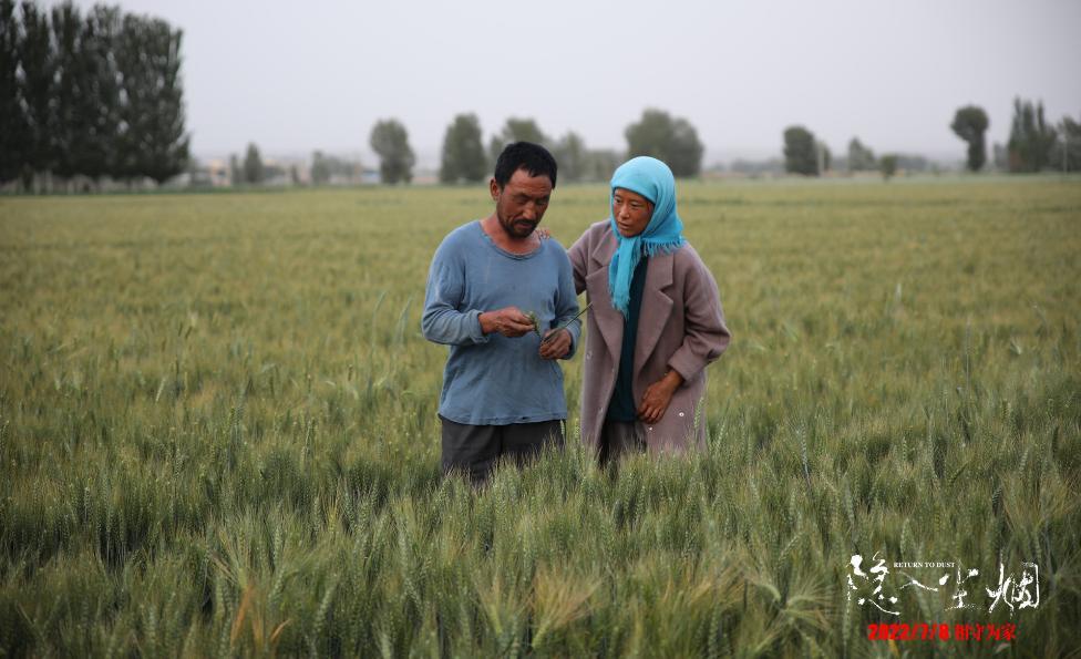 二刷才发现的一些事情,二刷发现的13点细节