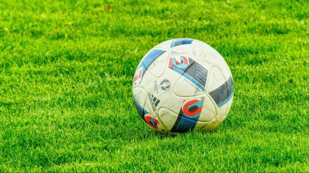 竞彩足球今日推荐荷维罗纳,竞彩足球推荐亚特兰大对佛罗伦萨