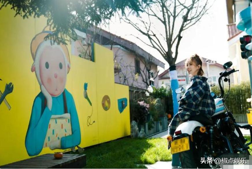 高速服务区明星,高速服务区唱歌