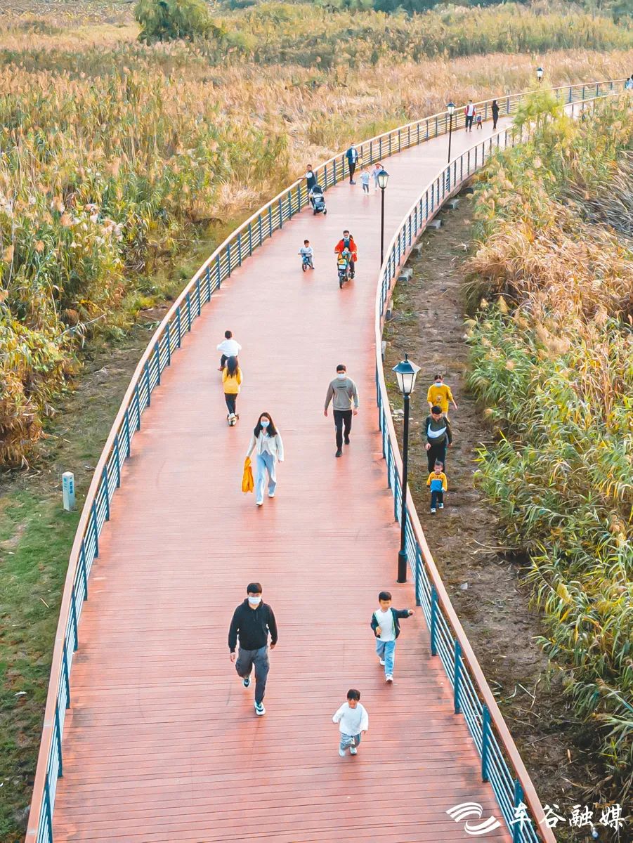 淘金山骑行绿道和东湖骑行绿道,周末绿道骑行一路都是美景