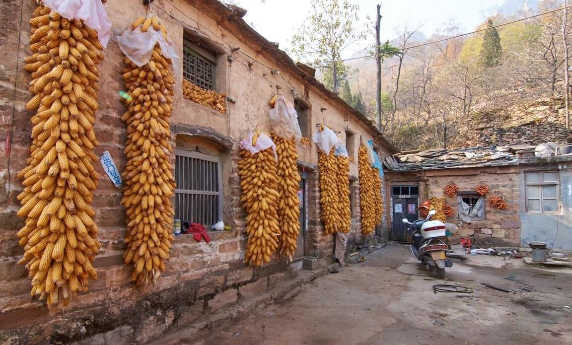 在疆创业十年,3000元在新疆做生意