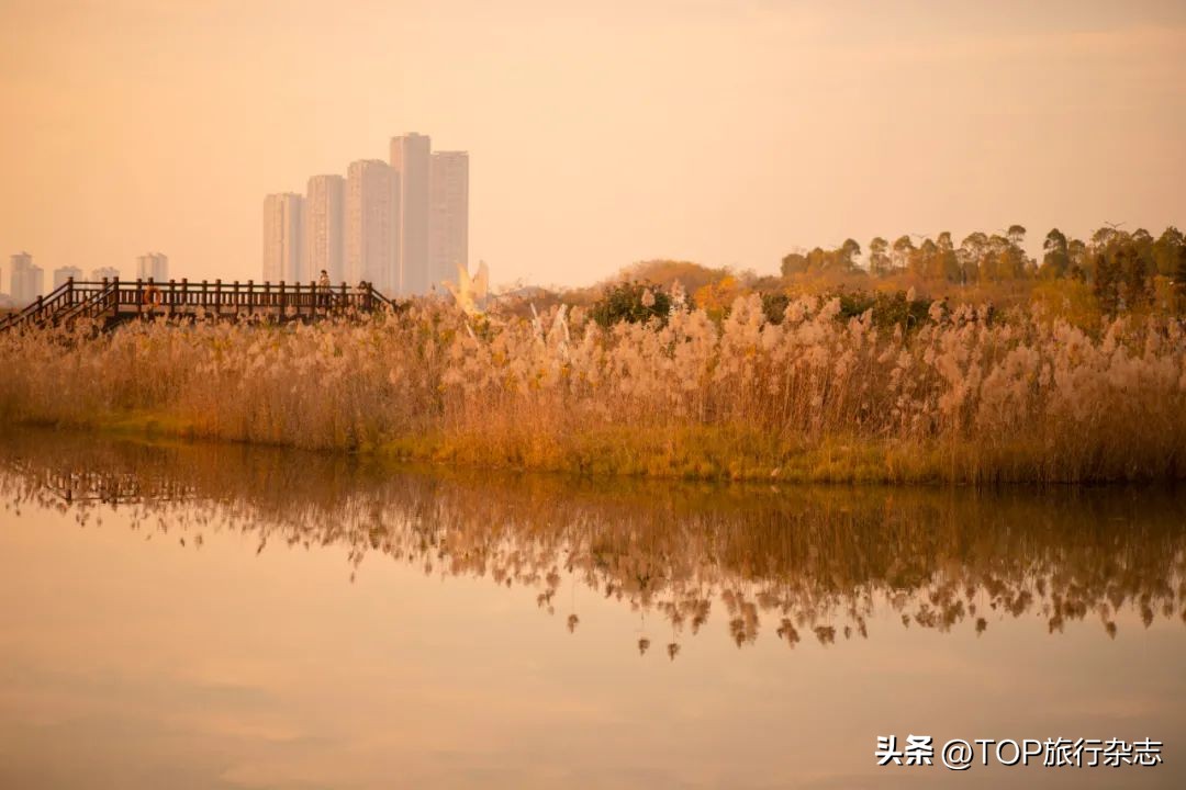 长沙十大免费公园推荐,长沙市综合性公园