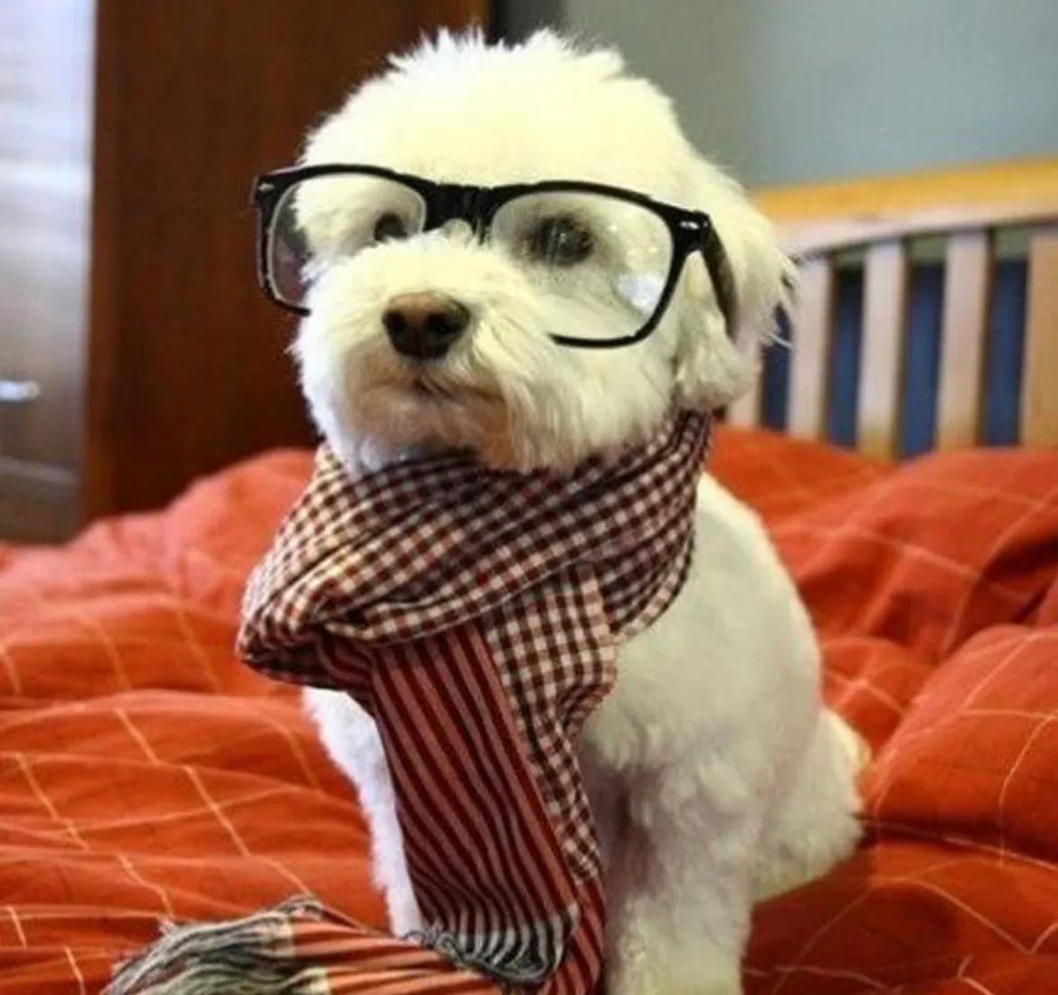 给女老板的幽默笑话大全,跟女友上班幽默笑话