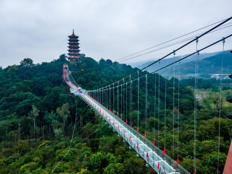 三八妇女节值得纪念的日子,一年一度的三八妇女节即将到来