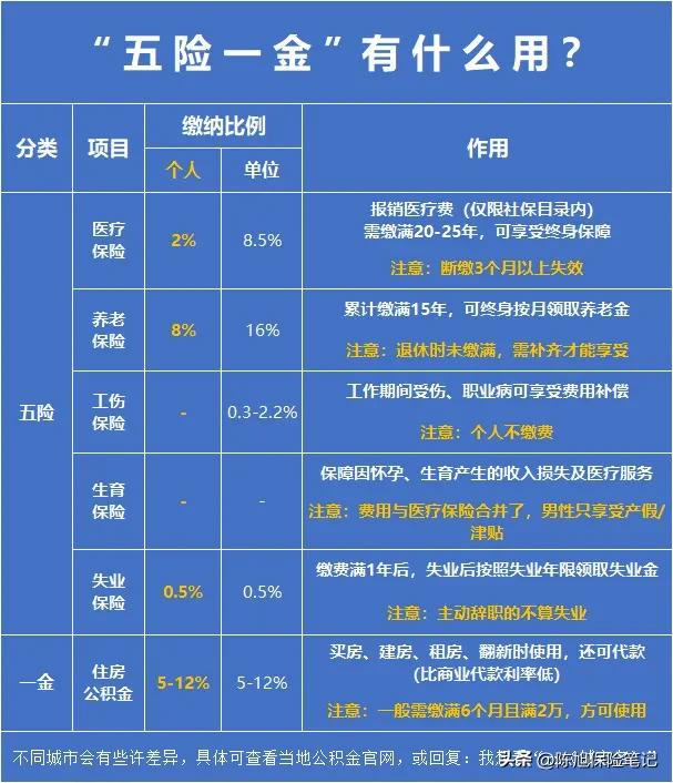 常说的五险一金社保具体是什么,社保与五险一金究竟是什么社保