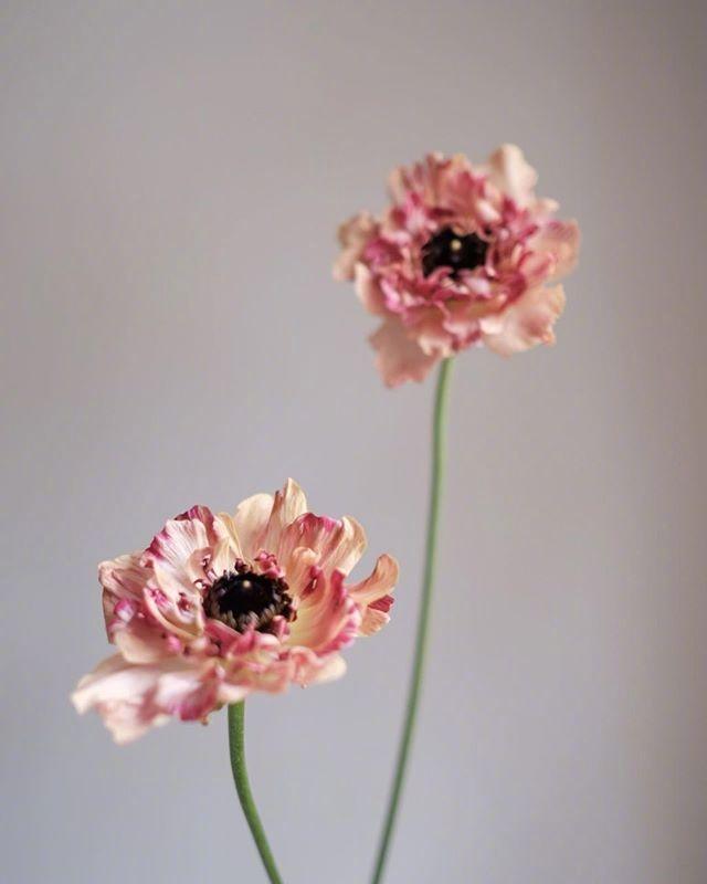 心灵鸡汤影响一生的心灵感悟,心灵鸡汤小说收藏榜