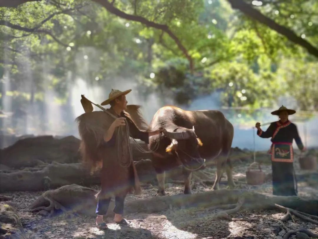 农民扮演农民？畲族模特每个动作定格3秒循环往复，150元可得乡村风赶鹅图