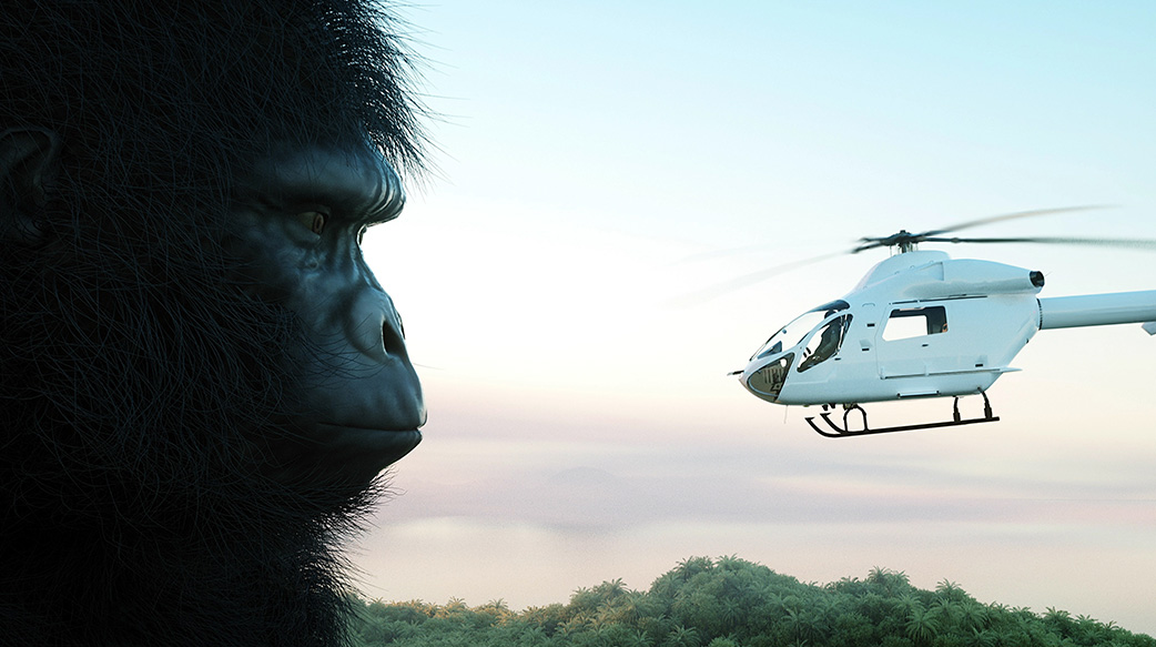 引领人类社会发展的决定因素,引领人类前进方向