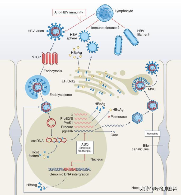 世纪难题暂未破解,世纪难题的破解