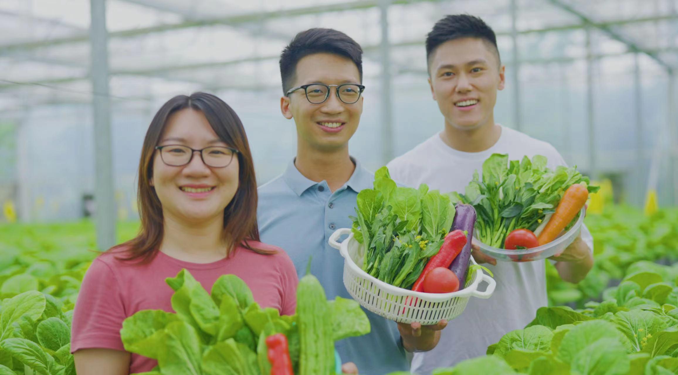 “传销”还是种菜？香港青年在大湾区创业的苦与乐丨约创大湾区