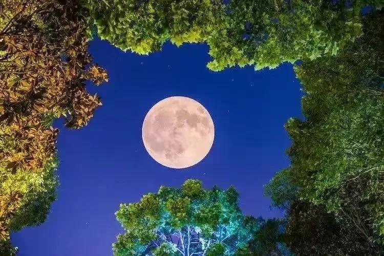 荐读一本好书,荐读一个字让你解决人生一半烦恼