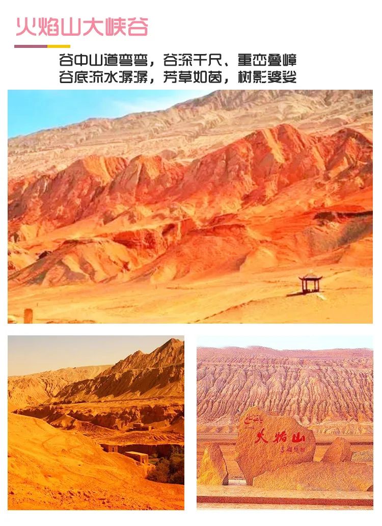 四月新疆伊犁草原,新疆伊犁野杏花最美人间四月天